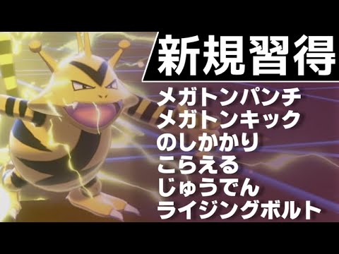 ソードシールド エレブーの種族値 わざ 特性など能力と入手方法 ポケモン剣盾 攻略大百科