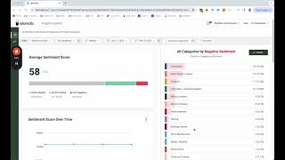 How to do customer sentiment analysis with Idiomatic