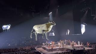 Video thumbnail of "Roger Waters - Sheep - Paris Accor Arena - 030520239"