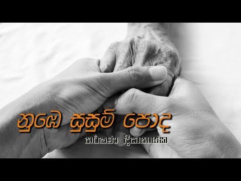 "නුඹෙ සුසුම් පොද" | Numbe Susum Poda | Harshana Dissanayake | New Song