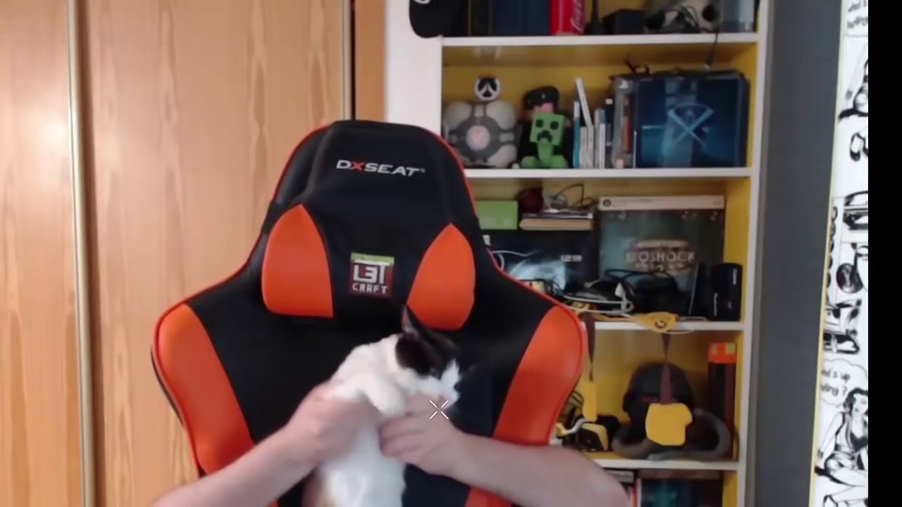 Recopilación de avisos en directo en Twitch de Alexelcapo.