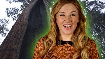 What if there was only ONE TREE? | BBC Earth Explore