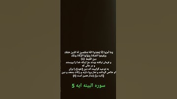 قاری شیخ احمد ماهر میعقلی سوره البینه qari Shaikh ahmad Maher maiquli sura all bai ena