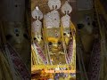 bagalamukhi maa #bhagwati #ambeybhakti #bhagwati