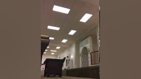 عشائية بصوت القارئ / معاذ سلطان شرف الدين