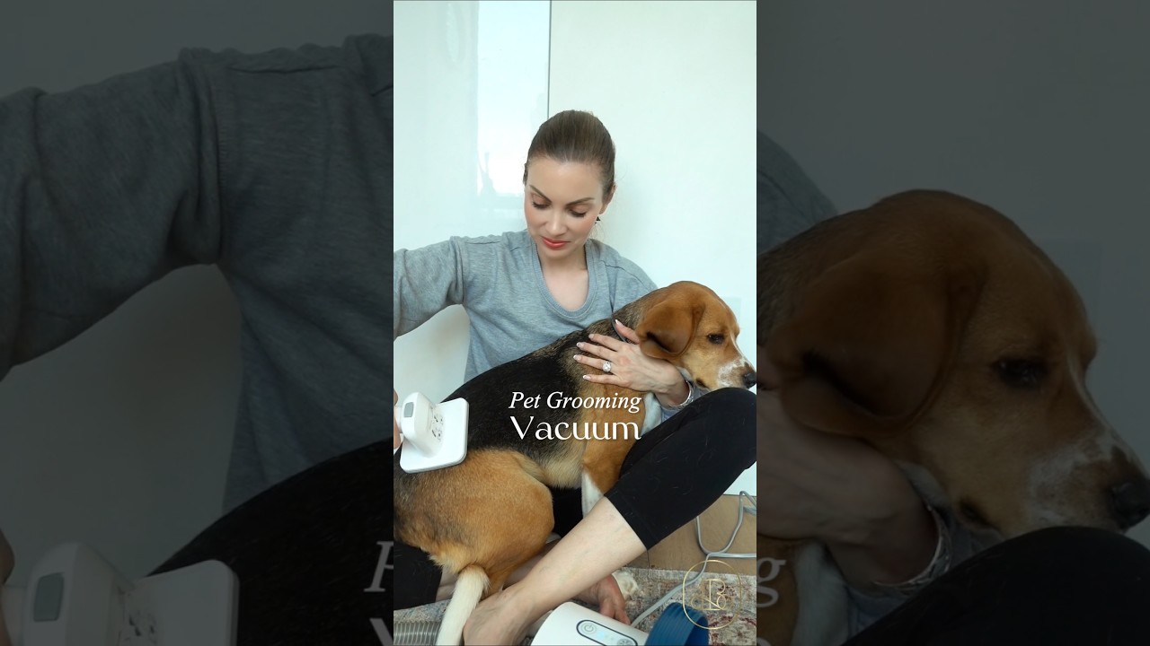 Пылесос для груминга домашних животных | Набор для груминга собак 7-в-1 и пылесос