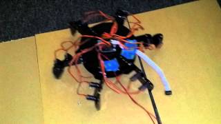 NSL hexapod's first dance