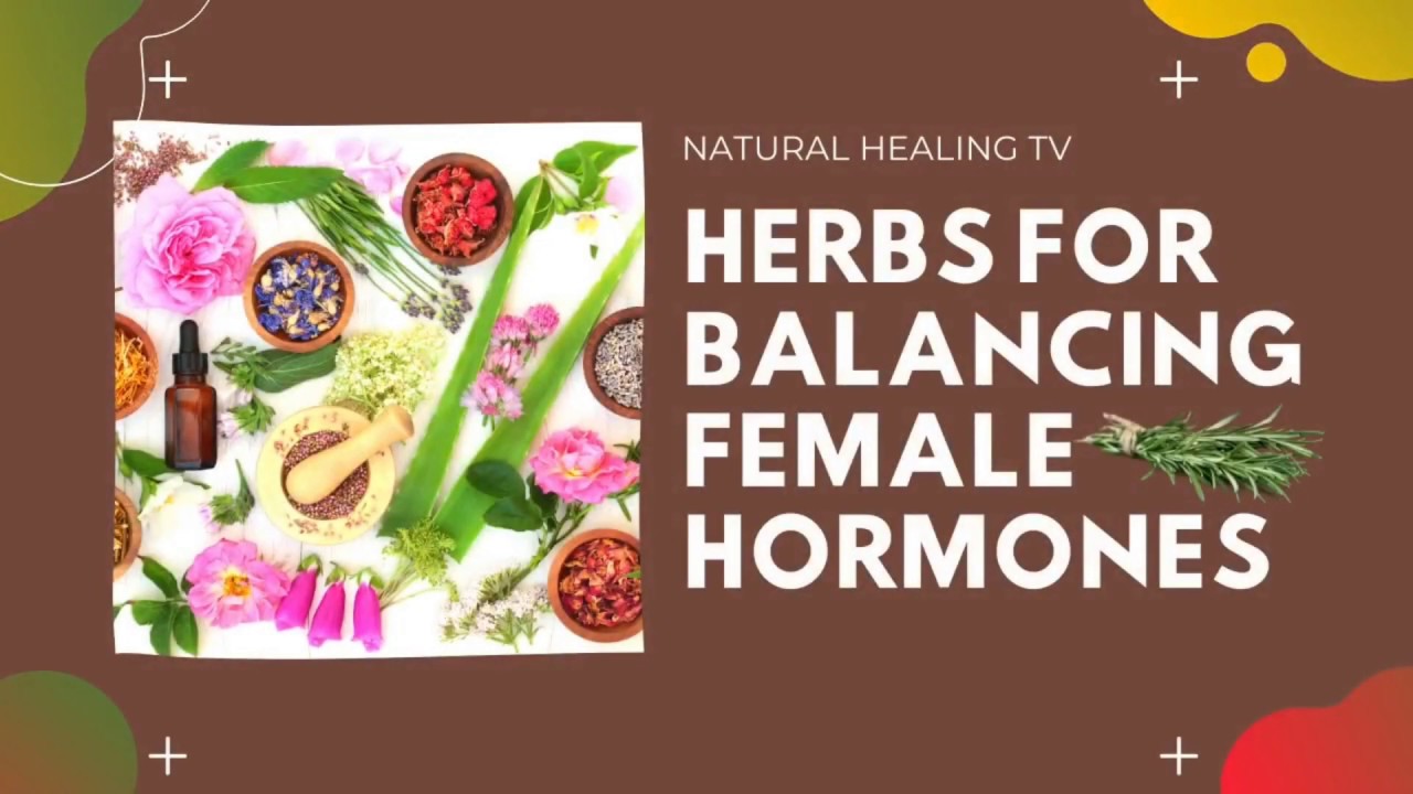 HERBS TO BALANCE FEMALE HORMONES|Natural Healing Tv - YouTube