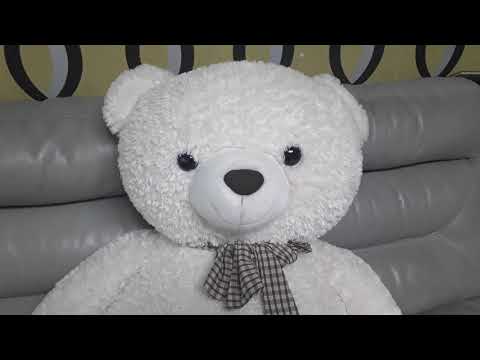 우리집  곰인형