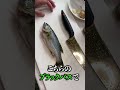池のバス全部食べる！（バスチリ）