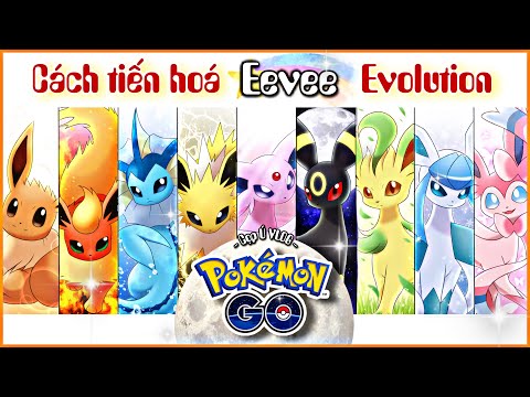 Video Mẹo tiến hoá ✨ Eevee ✨ theo ý muốn trong Pokémon Go... - youtube