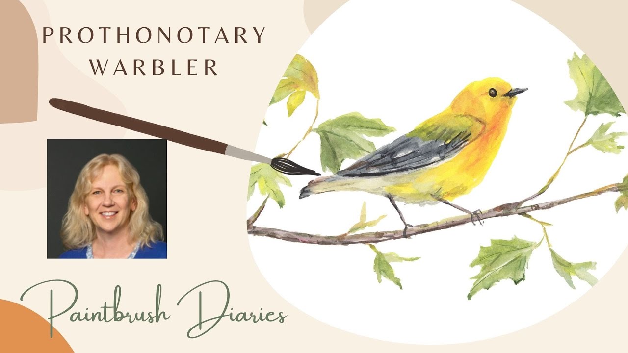 Paint a Warbler Bird