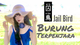 囚鳥 • Qiu Niao • 彭羚 • Peng Ling • Burung Terpenjara • Jail Bird • Chinese Song • Lirik Indonesia