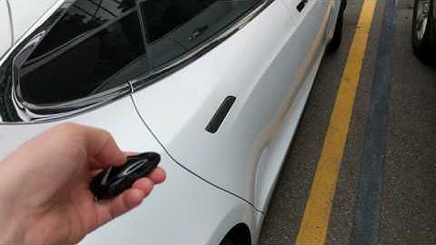 Tesla door opens itself