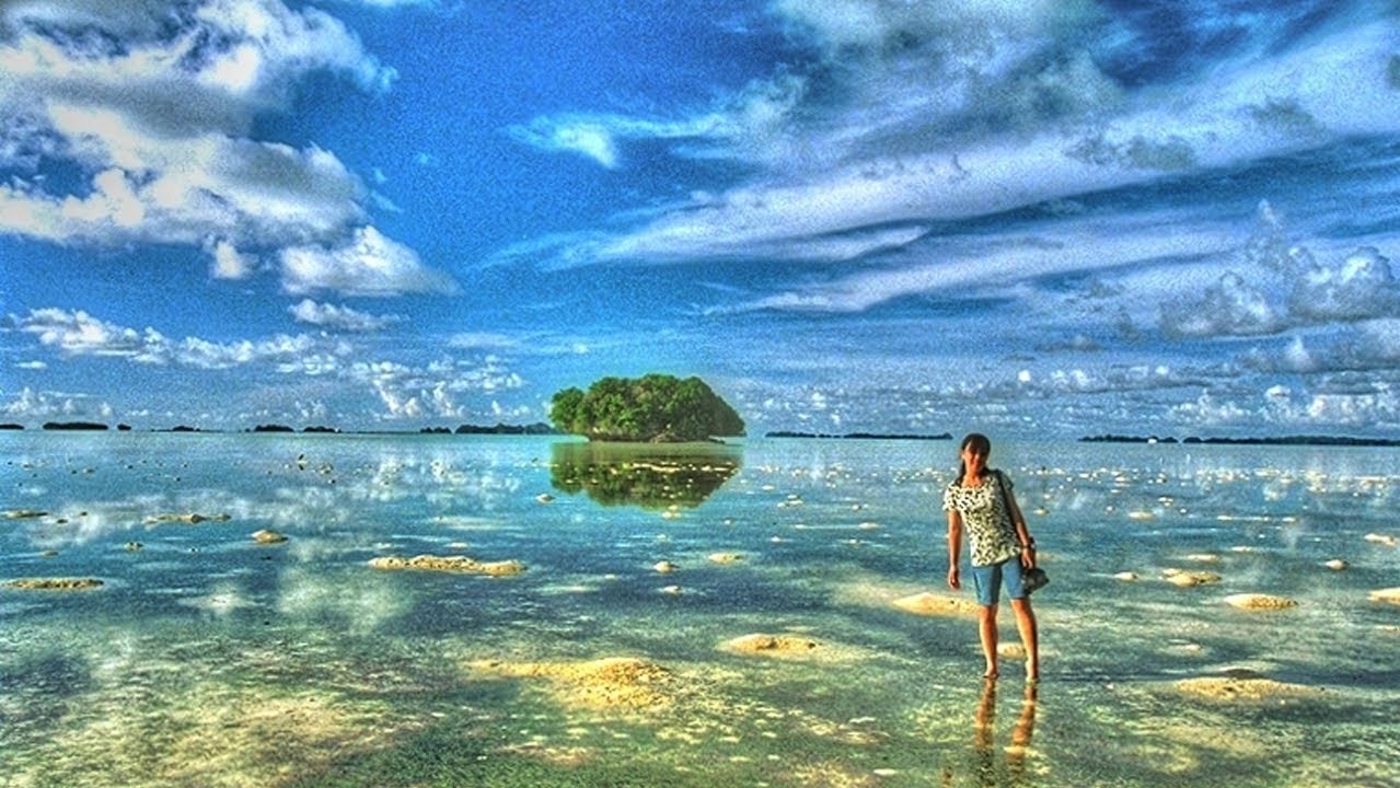 カープ島ジャングル探検 Jungle Tour Carp Island Palau Youtube