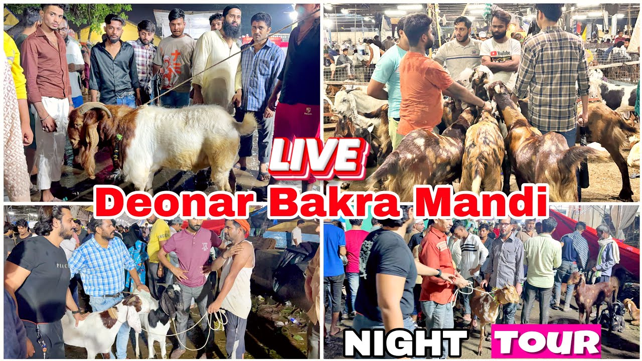 Deonar bakra mandi day 10 night update and full tour