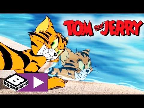 Tom & Jerry | Tigerjakt | Boomerang Norge