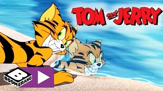 Tom & Jerry | Tigerjakt | Boomerang Norge
