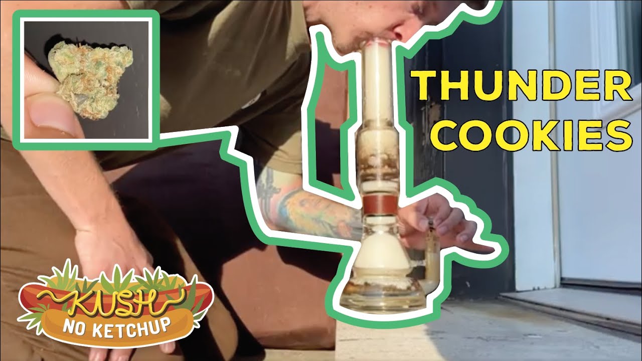 Thunder Cookies Strain Review | KUSH NO KETCHUP