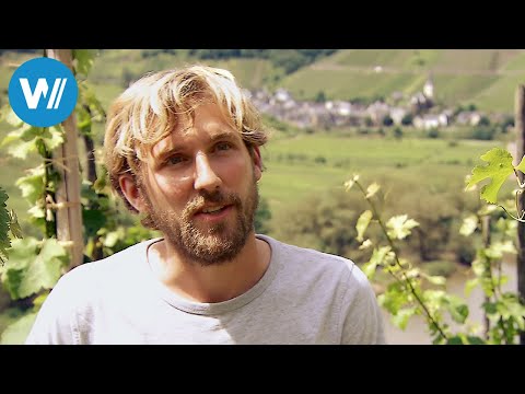 Weinlese und Abfüllung - Der Alltag auf dem steilsten Weinberg der Welt