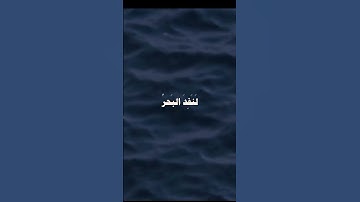 سورة الكهف..  اكتب شيء تؤجر عليه