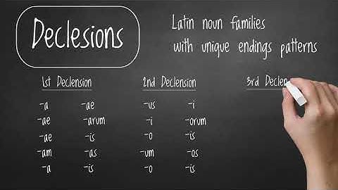 4th and 5th Declensions