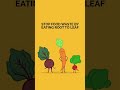 Stop Food Waste by Eating Root to Leaf #shorts