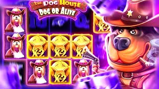 ПОЛ ЧАСА ЧИЛА В THE DOG HOUSE DOG OR ALIVE! САМЫЙ МАСШТАБНЫЙ BONUS BUY НА КАНАЛЕ! ЗАМАЗАЛ КУЧУ ДЕНЕГ