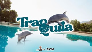 Tranquila (Remix) Fmk & Maria Becerra • & .