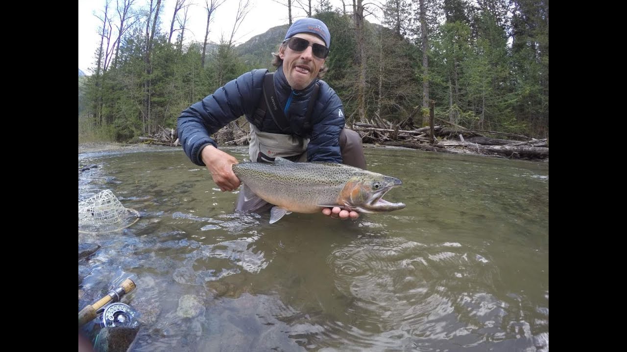 Giant Coastal Cutthroat Trout caught in Pemberton BC - YouTube