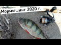 Мормышинг 2020.  Итоги и трофеи сезона