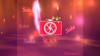 GierasDj  - SUKA (2020 REMIX)