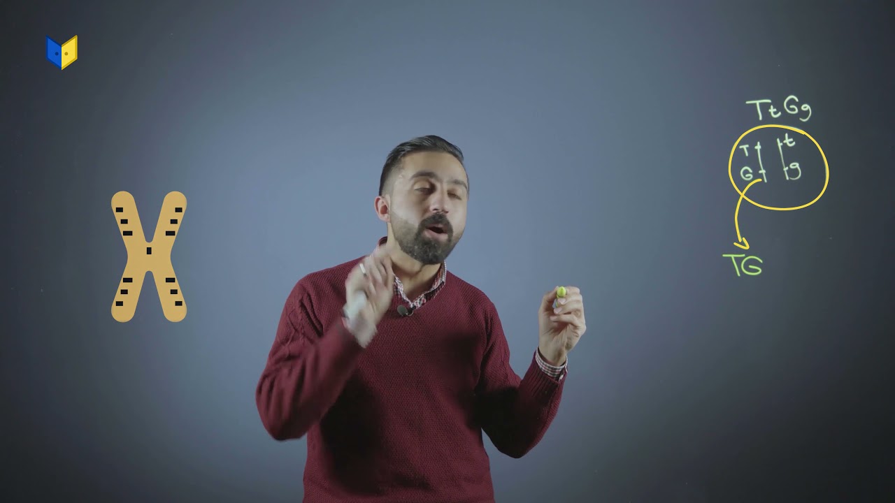 أحياء توجيهي علمي - الجينات المرتبطة