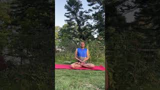 4 Yoga Poses for Prostate Health for Men Daily Practice Better Flexibility Relaxation Fresh Energy