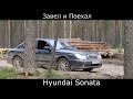 Обзор Hyundai Sonata 2005. Тест-драйв по-русски: Хендай Соната в лесу и на бездорожье.