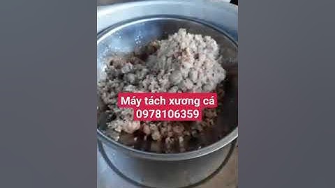 Máy ép cá, máy lọc xương cá biển, máy tách xương cá thác lác làm chả cá, máy ép thịt cá Cr300 inox