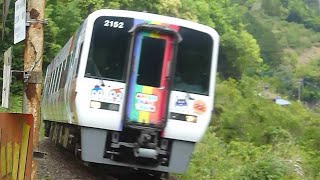 [警笛2回あり]JR四国 2000系(ｱﾝﾊﾟﾝﾏﾝ列車) 特急 宇和海11号 双岩駅付近通過[汽笛吹鳴標識]