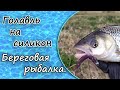 Голавль на силикон . Береговая рыбалка .