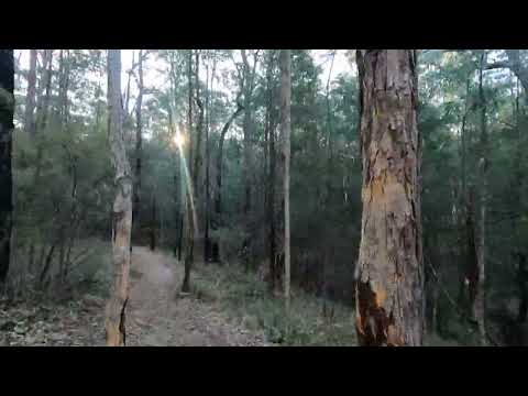 Lovers Walk - Glenbrook - Knapsack Reserve - Blue Mountains Australia - Alltrails