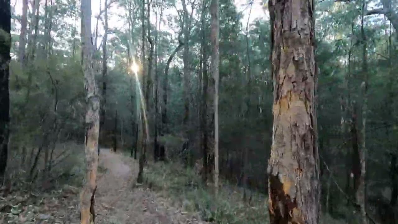 Lovers Walk - Glenbrook - Knapsack Reserve - Blue Mountains Australia - Alltrails