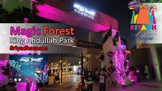 Magic Forest in King Abdullah Park, Riyadh, KSA (Riyadh Season)