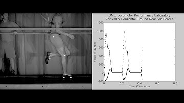 National Champion Sprinter at 26+ mph on SMU Force Treadmill