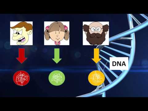 RFLP Animation