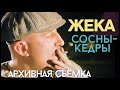 ЖЕКА-Евгений Григорьев- Сосны-Кедры ( архивное видео )