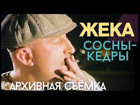Смотреть клип Евгений Григорьев - Сосны-Кедры