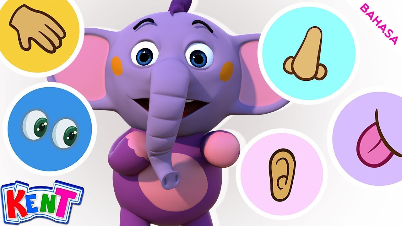⁣Pelajari 5 Indra | Pelajari Bagian Tubuh | Kent The Elephant - Kent Si Gajah