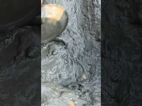 Village Amazing fishing in mud #fishing #handfishing #shorts