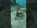 Underwater Fish Trap Experiment Catching A TON Of Fish In One Go Genius Fishing Hack