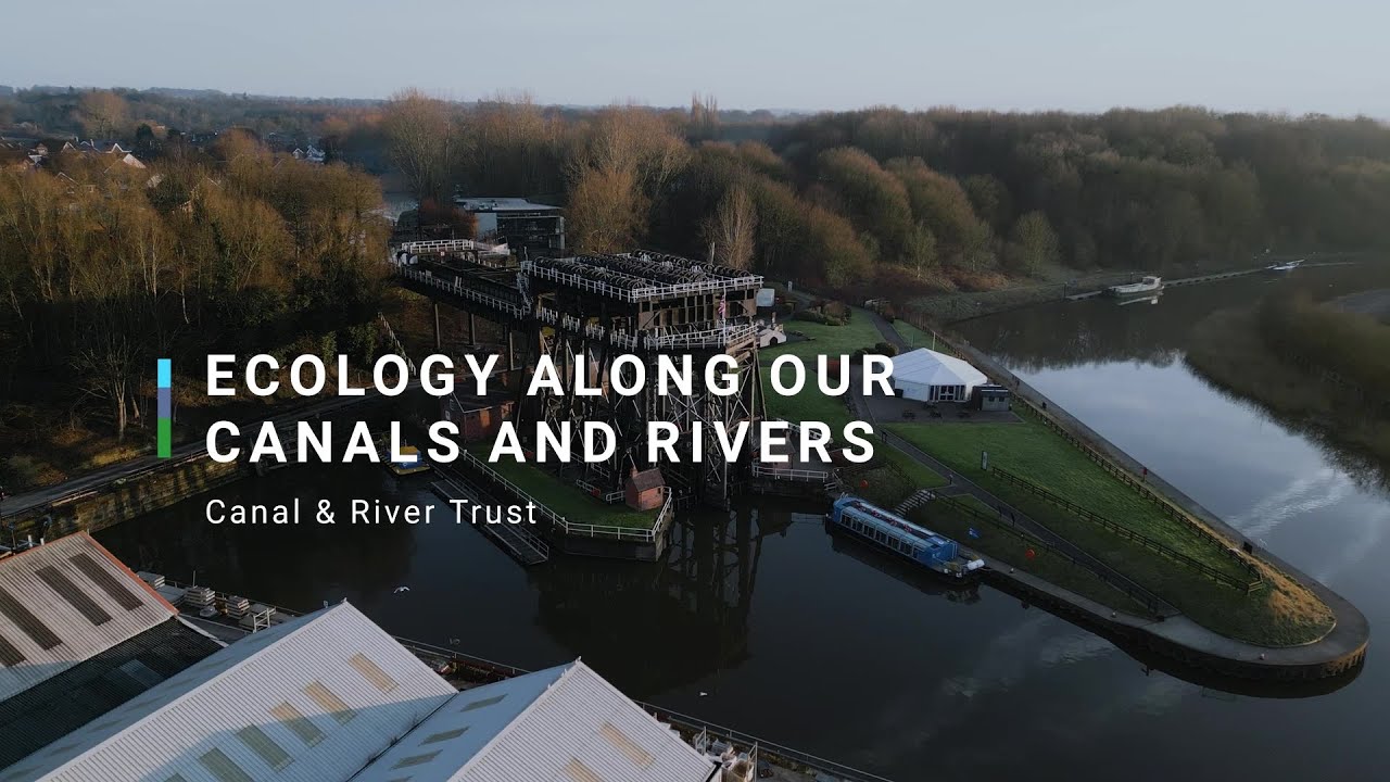 Ecology Along our Canals and Rivers | Canal & River Trust | Green Horizons