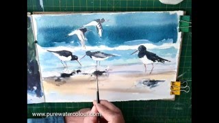 How To Paint Oyster Catchers in Watercolour
Paint sea birds in Watercolour and bring your marine paintings to life. Easy watercolour painting Oyster Catchers
www.purewatercolour.com How To Paint Oyster Catchers in Watercolour